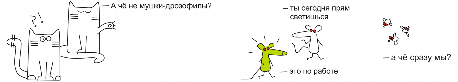 Пора редактировать людей - 6