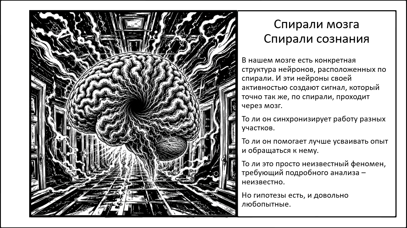 Спиральная активность специфических нейронов буквально координирует мозг в пространстве-времени - 1