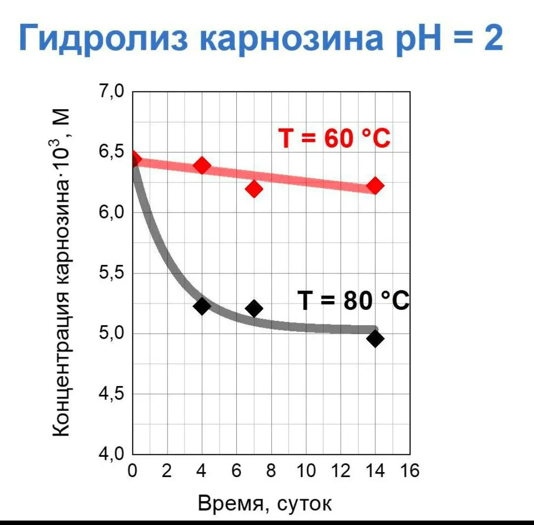 Стабильность пептидов. Мифы и реальность - 2 Стабильность пептидов. Мифы и реальность - 2