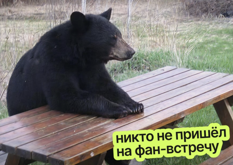 Как собрать продуктовый митап, на который придут не только ради пиццы - 11 Как собрать продуктовый митап, на который придут не только ради пиццы - 11