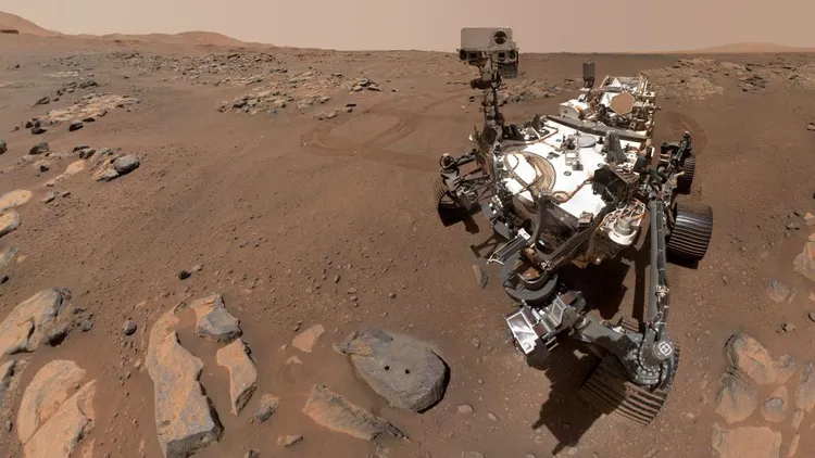 «Селфи», сделанное марсоходом «Персеверанс» (Источник изображения: NASA/JPL-Caltech/MSSS)