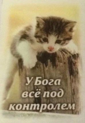 Так думают теисты