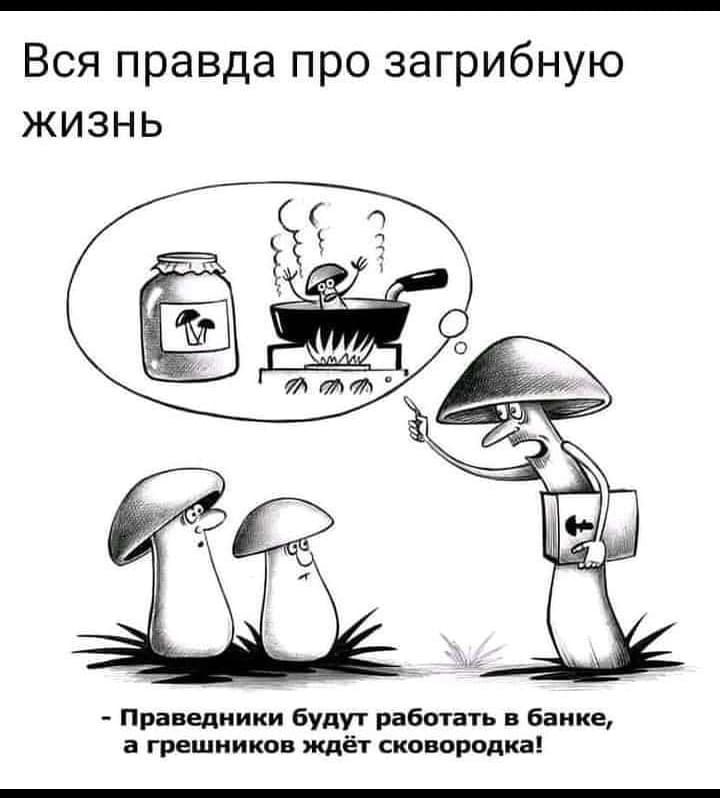 Спекулятивный материализм Мейясу против объективного идеализма Гегеля. Чей абсолют абсолютнее? - 21