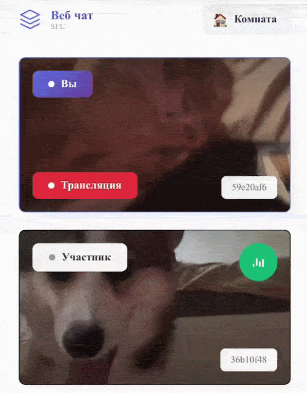 Братки на созвоне