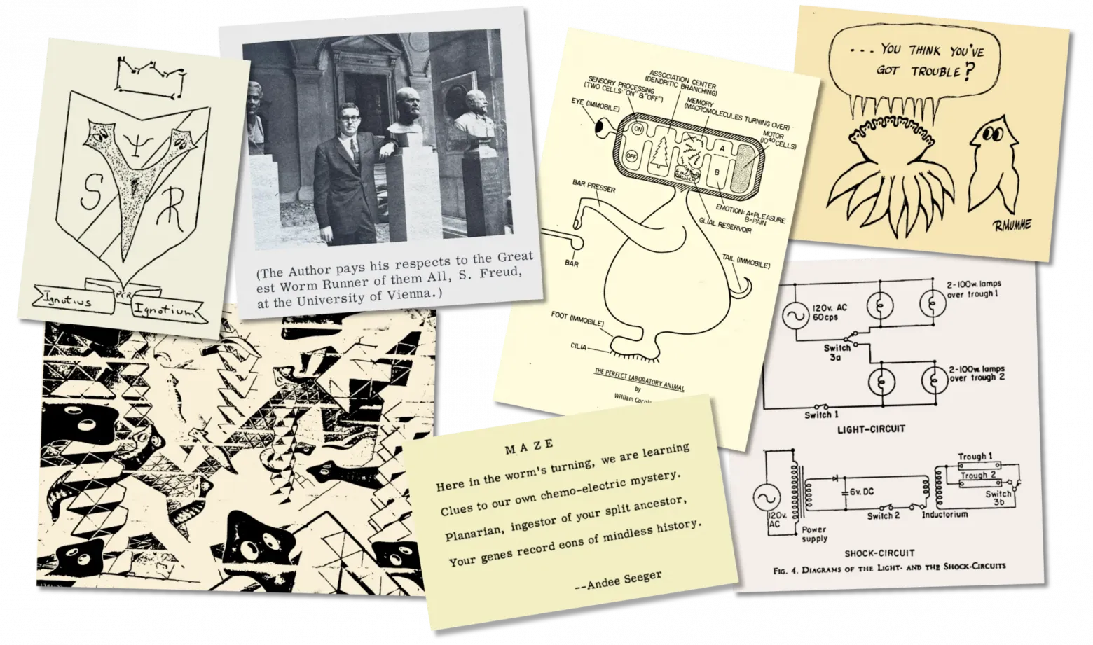 Помимо научных работ, посвящённых червям, в научном журнале The Worm Runner’s Digest, издаваемом Джеймсом Макконнеллом, публиковались карикатуры, стихи, редакционные статьи, пародийные материалы и другие юмористические или сатирические материалы.