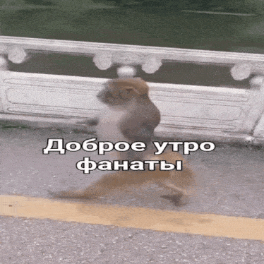 Приветствие
