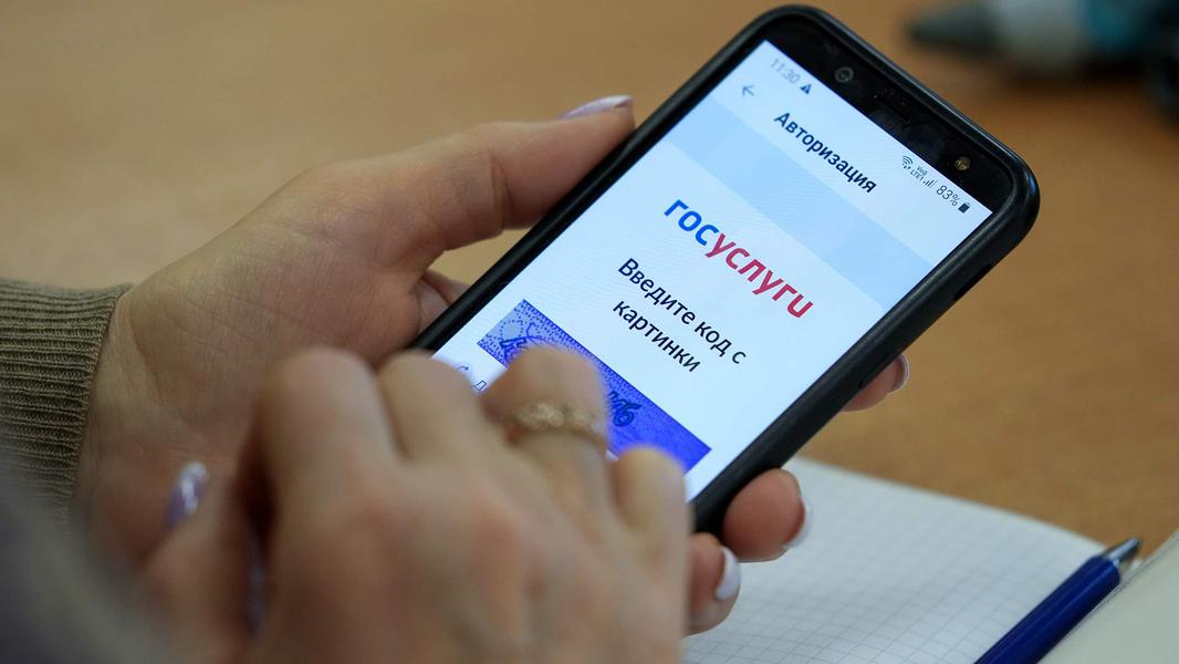 Неожиданный конкурент Max: «Госуслуги» превратятся в соцсеть - 1 Неожиданный конкурент Max: «Госуслуги» превратятся в соцсеть - 1