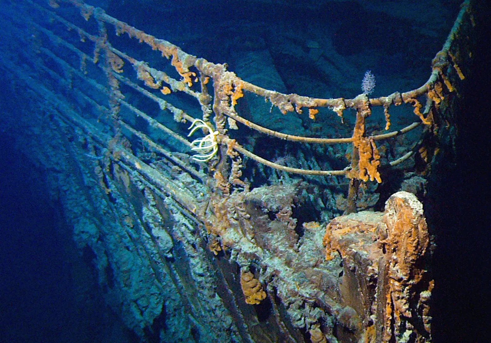 NOAA; Лори Джонстон, экспедиция «РМС Титаник» 2003 г., NOAA-OE