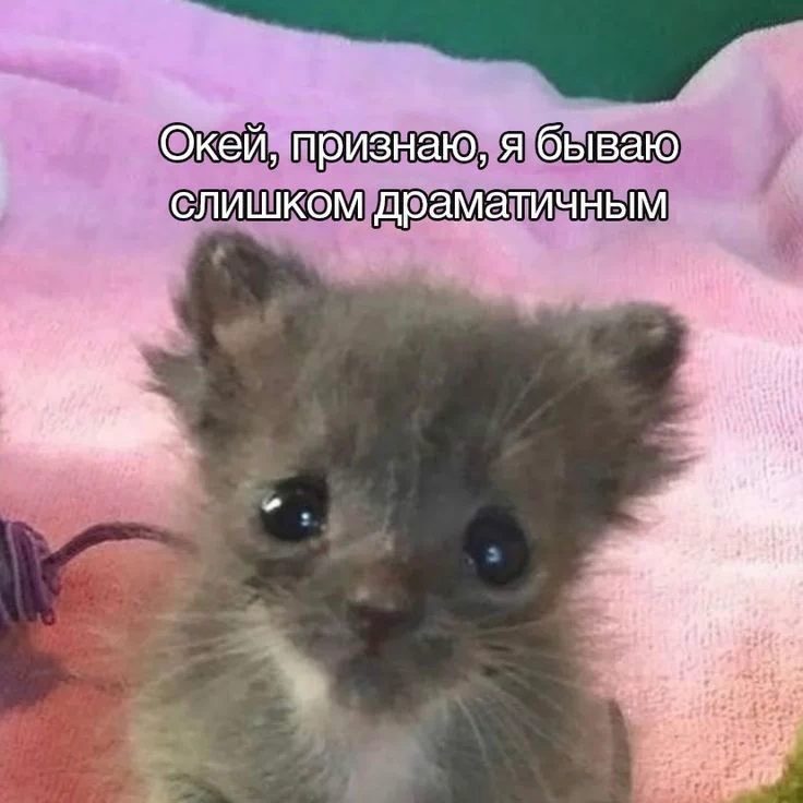 окей, признаю