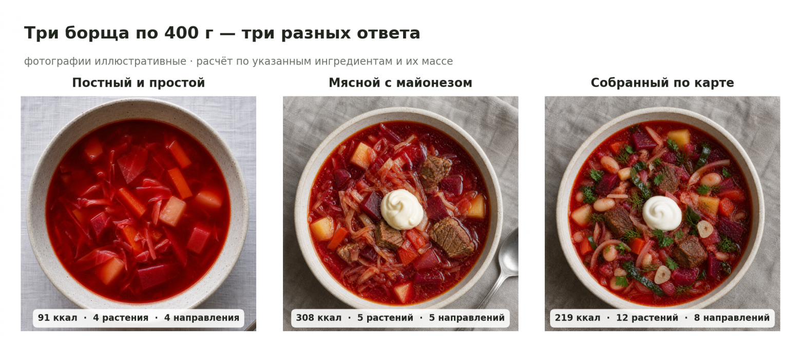 Три сгенерированные иллюстрации борща; числа рассчитаны по указанным рецептам одинаковой массы