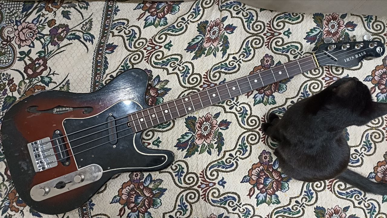 Fender Player Plus Meteora HH из солнечной Мексики - 13