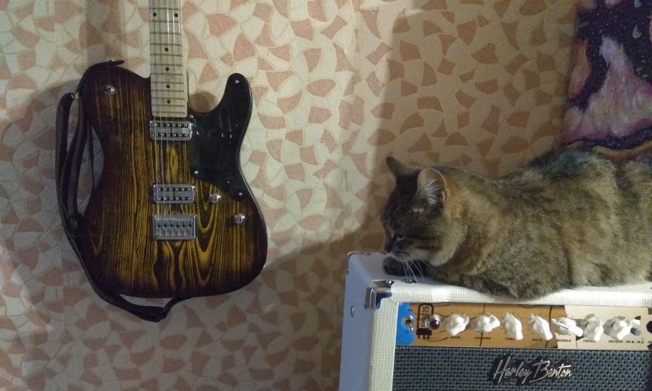Fender Player Plus Meteora HH из солнечной Мексики - 14