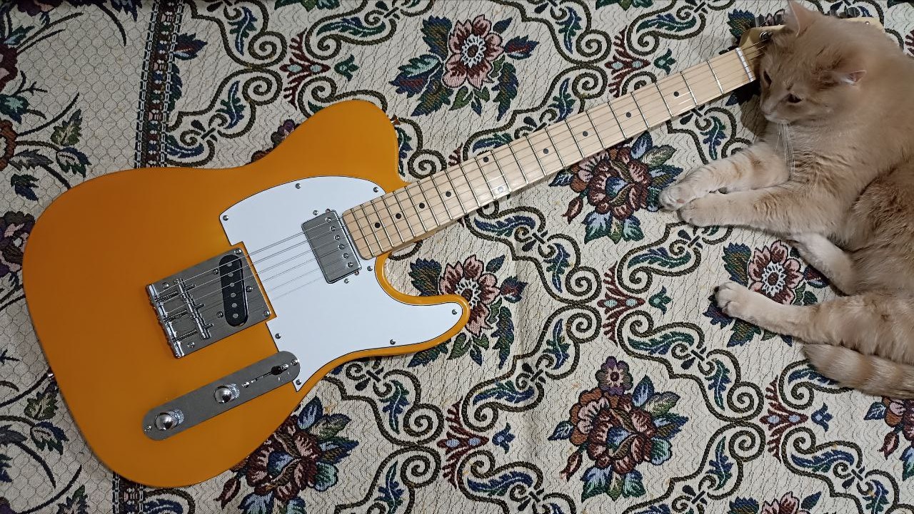 Fender Player Plus Meteora HH из солнечной Мексики - 17