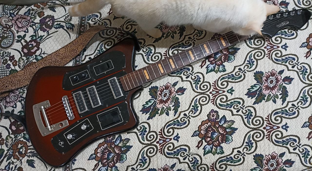 Fender Player Plus Meteora HH из солнечной Мексики - 19