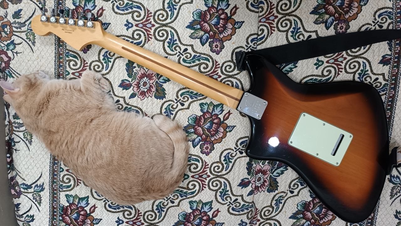 Fender Player Plus Meteora HH из солнечной Мексики - 26