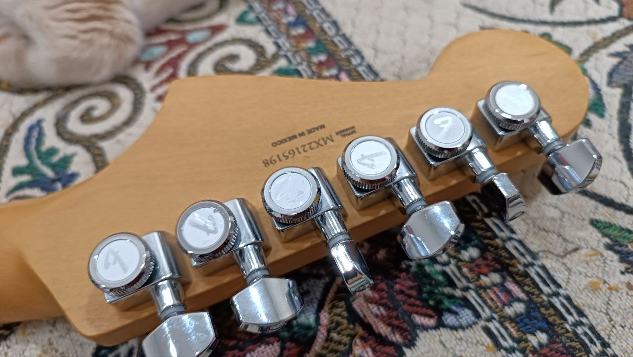 Fender Player Plus Meteora HH из солнечной Мексики - 29