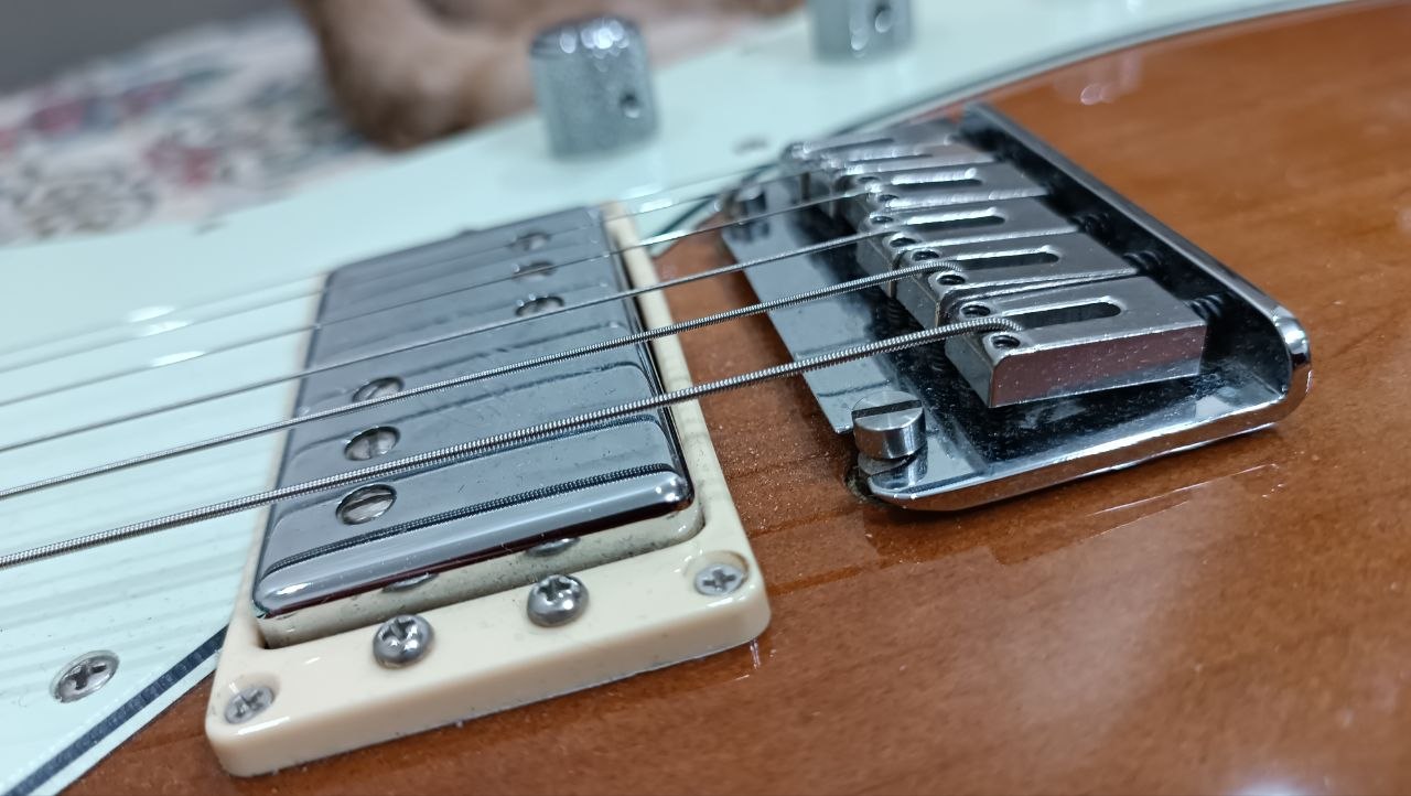 Fender Player Plus Meteora HH из солнечной Мексики - 33