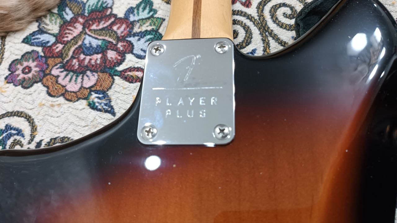 Fender Player Plus Meteora HH из солнечной Мексики - 47