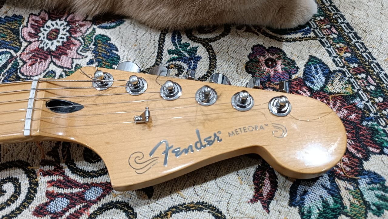 Fender Player Plus Meteora HH из солнечной Мексики - 48