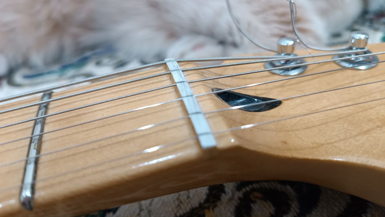 Fender Player Plus Meteora HH из солнечной Мексики - 49