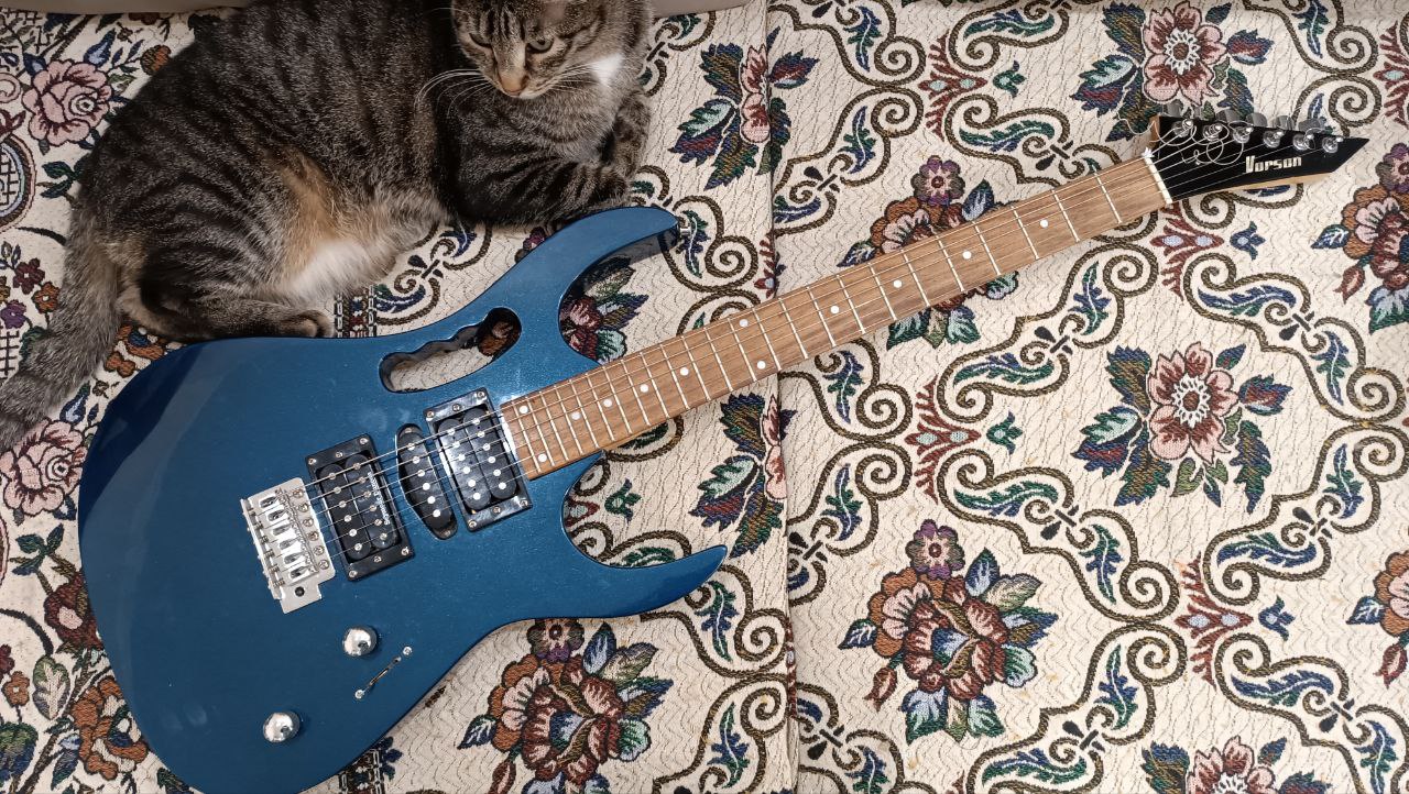 Fender Player Plus Meteora HH из солнечной Мексики - 5