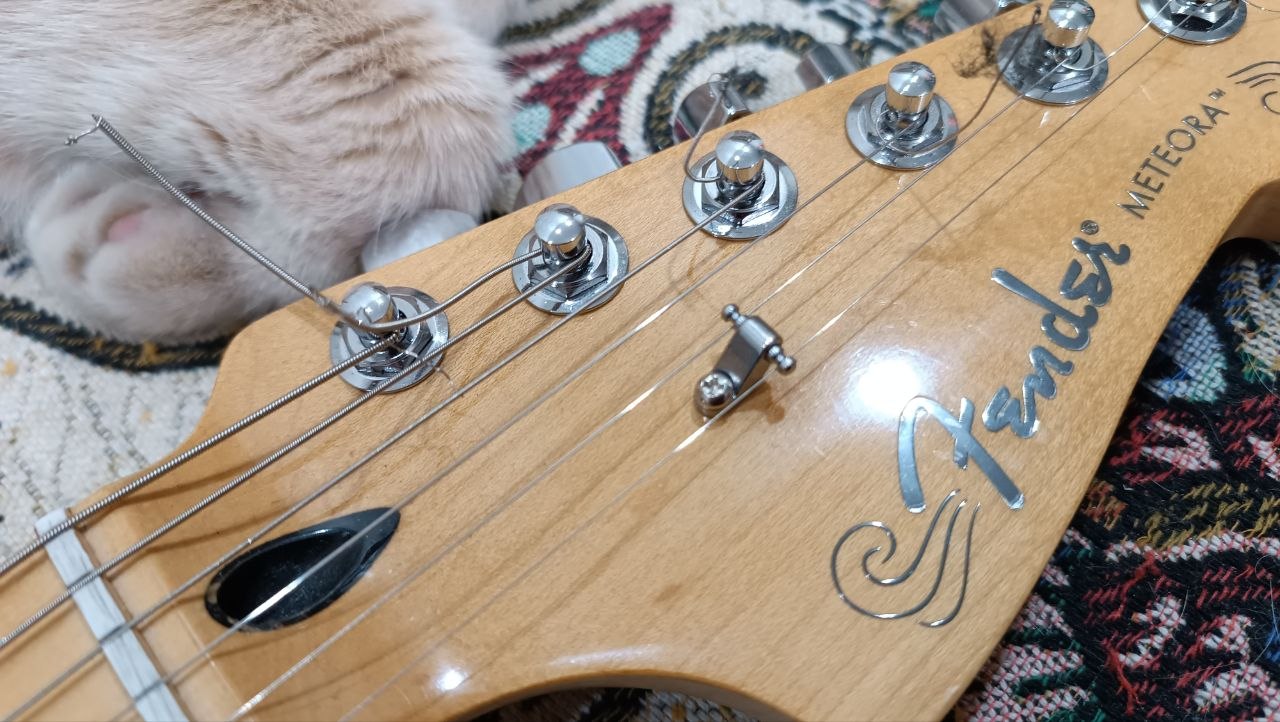 Fender Player Plus Meteora HH из солнечной Мексики - 50