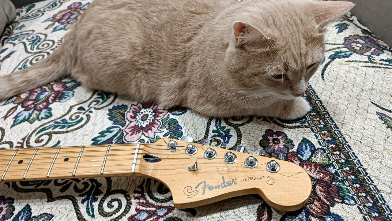 Fender Player Plus Meteora HH из солнечной Мексики - 53