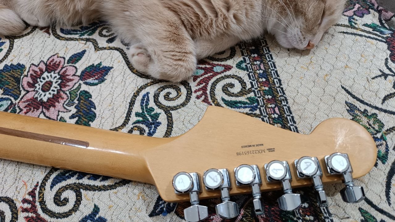 Fender Player Plus Meteora HH из солнечной Мексики - 55