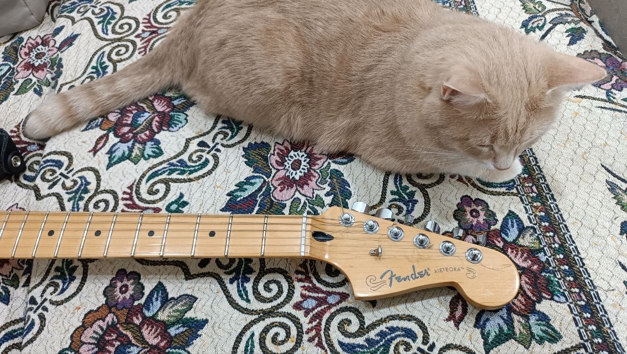 Fender Player Plus Meteora HH из солнечной Мексики - 56