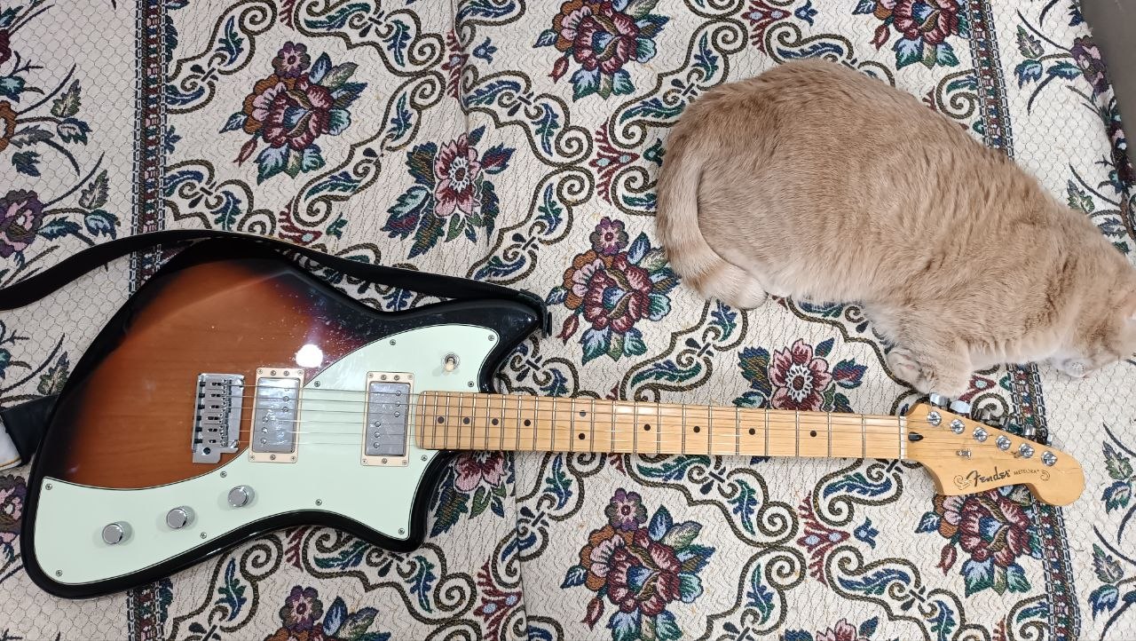 Fender Player Plus Meteora HH из солнечной Мексики - 1