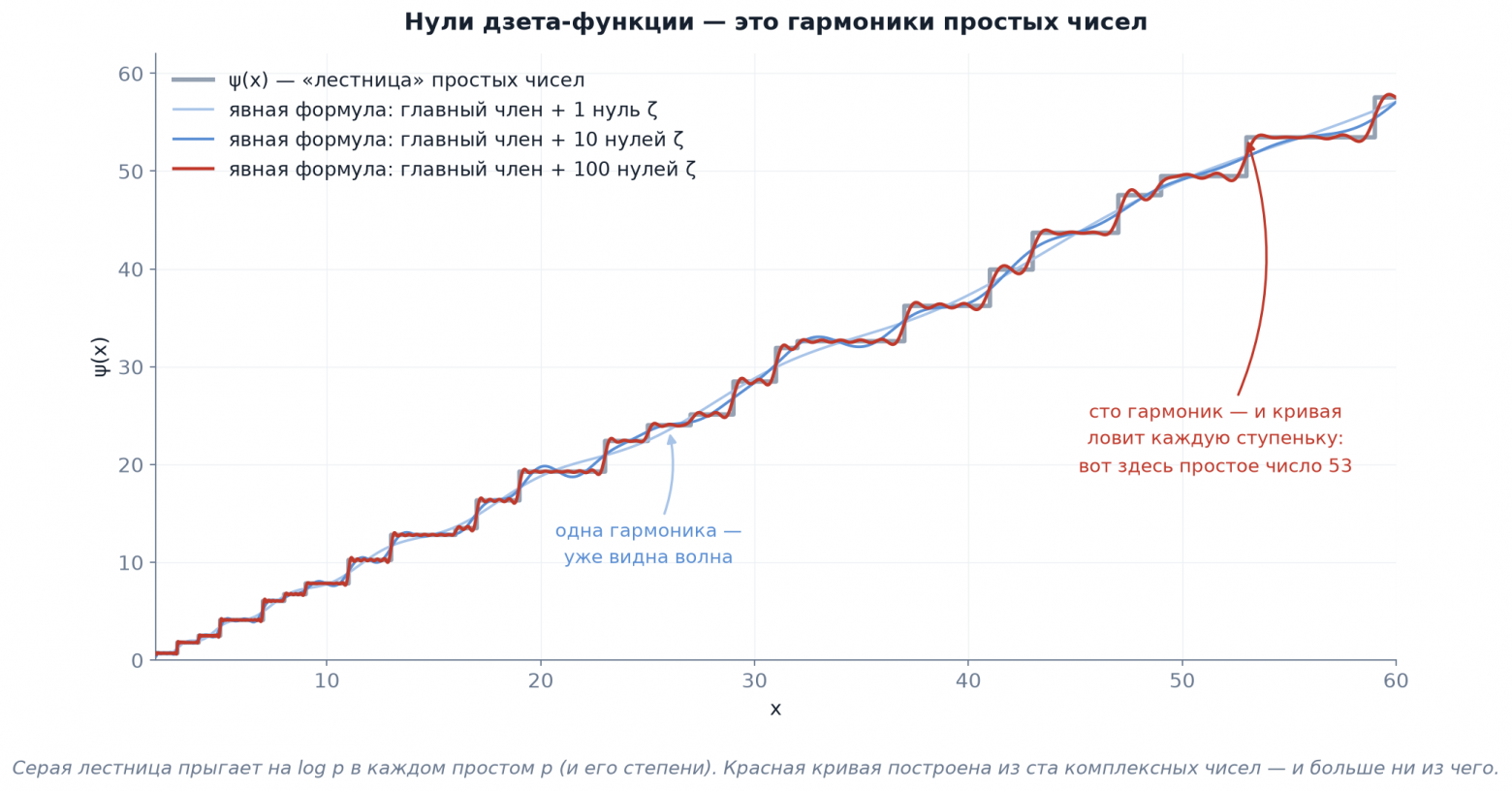 Вот такое оно, распределение простых чисел в лесу.