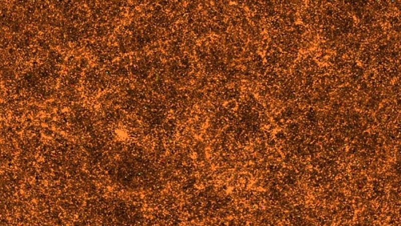 Вид с Земли на небольшой участок Вселенной в районе северного галактического полюса, где каждый пиксель изображения соответствует нанесённой на карту галактике. В самых больших масштабах Вселенная одинакова во всех направлениях и во всех доступных для измерений областях; основное различие заключается лишь в том, что далёкие галактики выглядят меньше, моложе, плотнее и менее эволюционно развитыми, чем те, что находятся поблизости. Это свидетельствует о космической эволюции во времени, но не об изменении изотропии или однородности. Источник: M. Blanton/SDSS-III