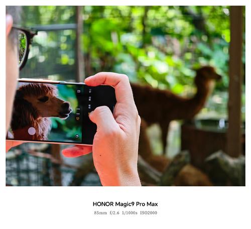 200 мегапикселей и ЭФР 500 в деле: опубликованы фото, сделанные камерой Honor Magic 9 Pro Max - 2 Фото 1