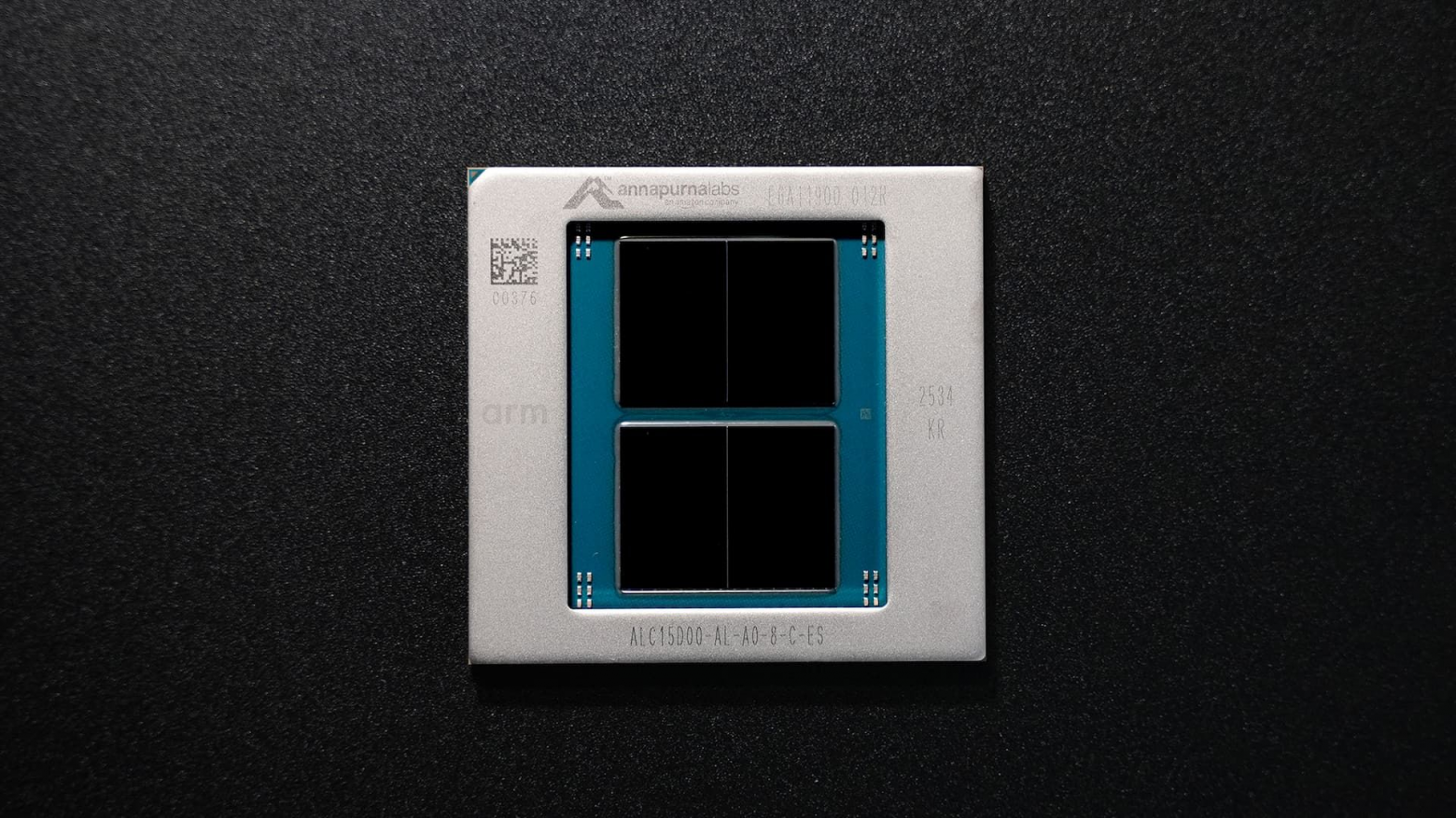 Annapurna Labs Graviton 