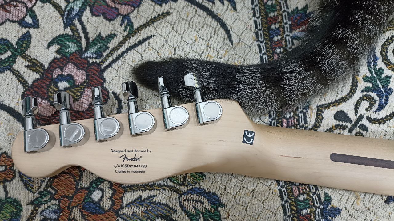 Squier Affinity — годная электрогитара, или так себе? - 12