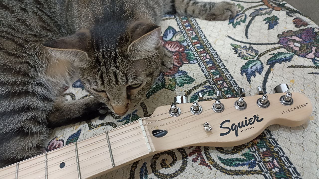 Squier Affinity — годная электрогитара, или так себе? - 14