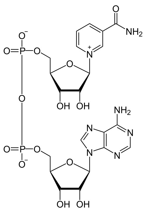 Кофермент NAD (Nicotinamide Adenine Dinucleotide). Взято из Вики