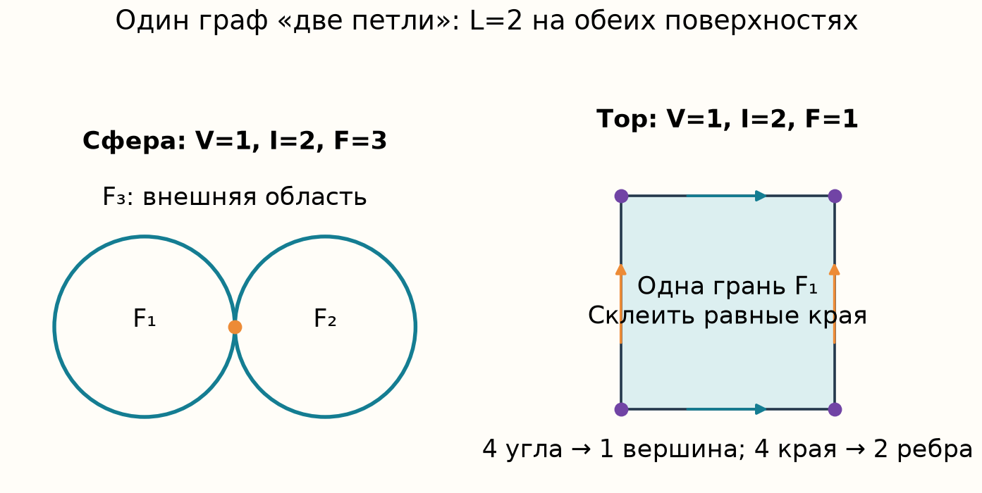 Один граф с двумя петлями на сфере и на торе