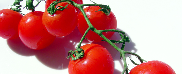 Контекстная реклама / Планируете запуск кампании? Лучше день потерять, потом за пять минут долететь! Контекстная реклама / Планируете запуск кампании? Лучше день потерять, потом за пять минут долететь!