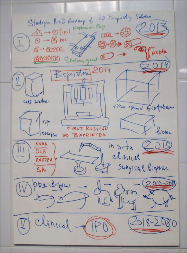 3D печать органов человека