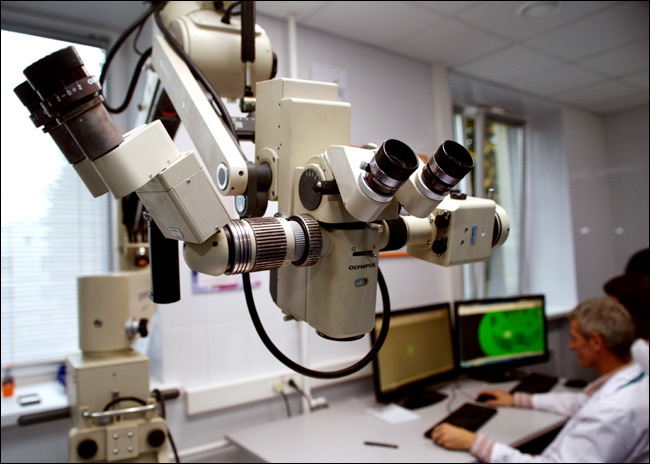 3D печать органов человека 3D печать органов человека