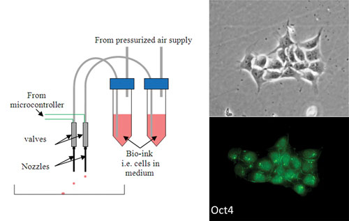 3d принтеры. Обзор достижений за 2012 год image