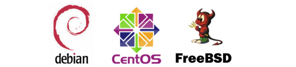 AWS официально поддерживает Centos, Debian и FreeBSD из Marketplace