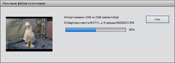 Adobe Photoshop Elements 11 Adobe Photoshop Elements 11