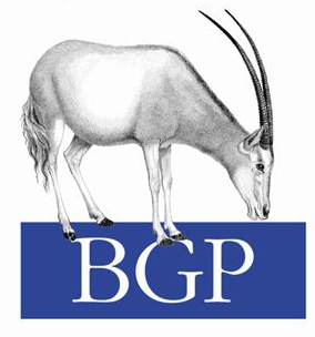 BGP: некоторые особенности поведения трафика