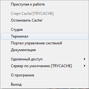 Backstreet Access To Intersystems Cache