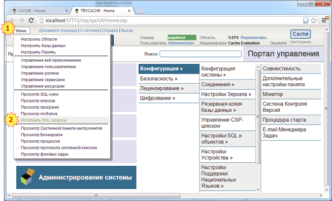 Backstreet Access To Intersystems Cache