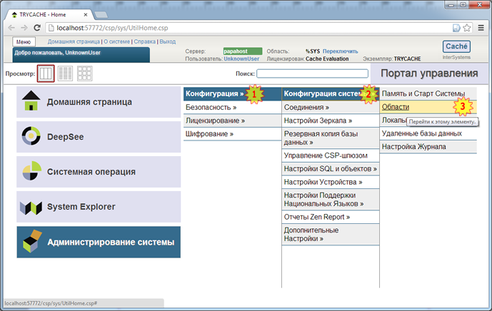 Backstreet Access To Intersystems Cache