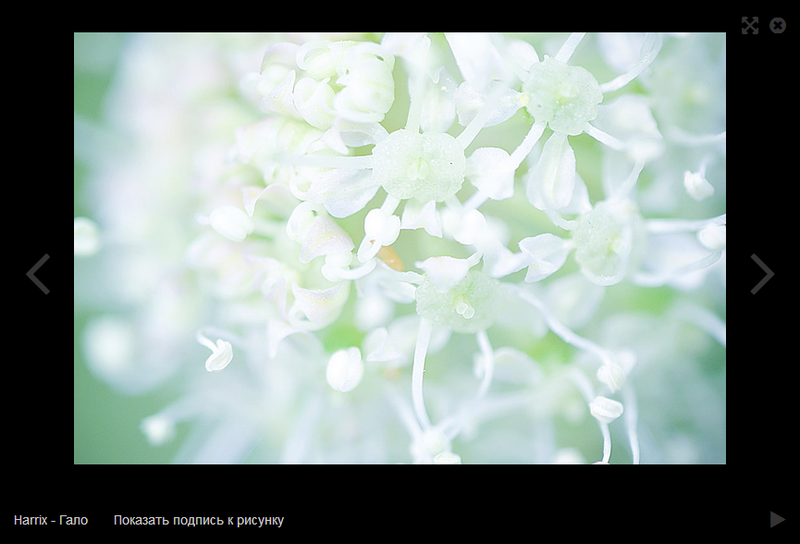 CMS Koken для фотогалерей CMS Koken для фотогалерей