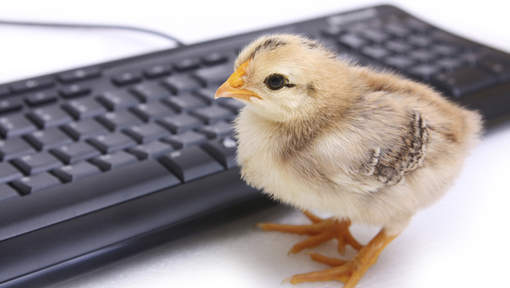 ChickenBoard — новая идея для эргономичной клавиатуры
